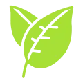 22-leaf-1 22-leaf-1