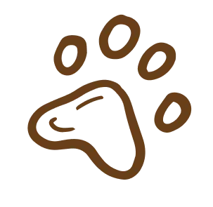 paw paw