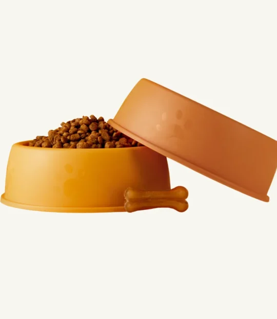 Set of Plastic Bowls