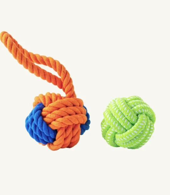 Set of Pet Toys
